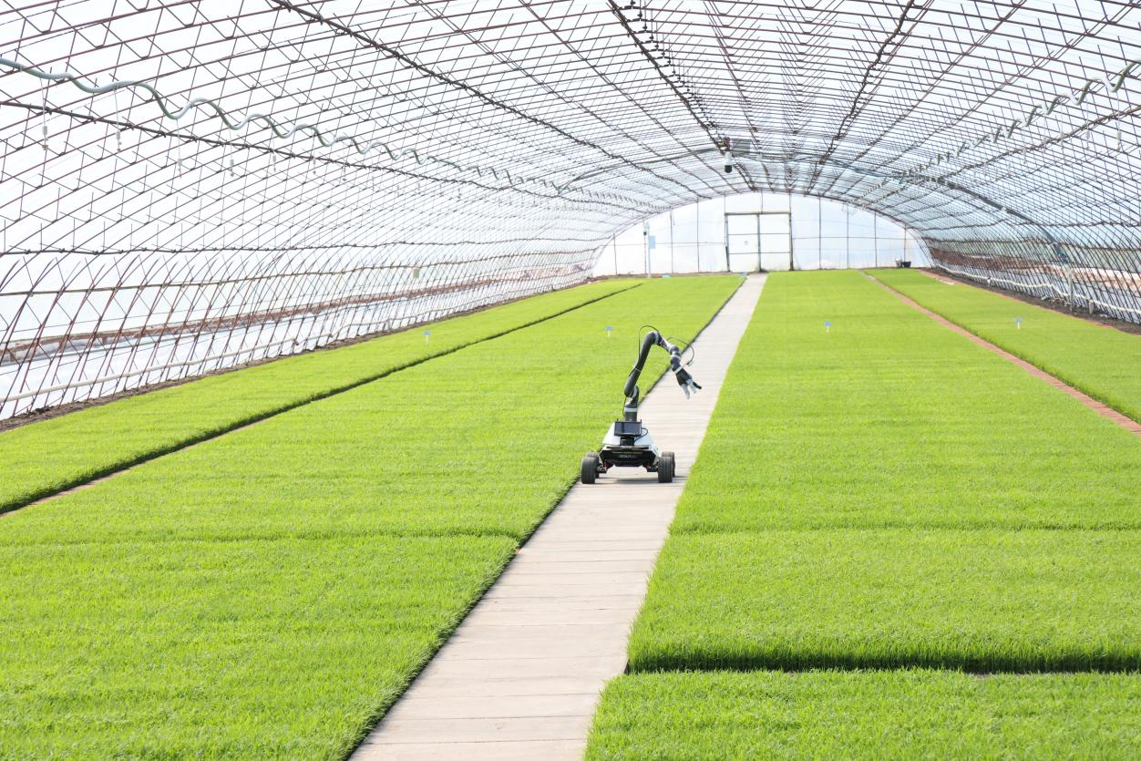 高质量发展看中国｜“老把式”对话“数智赋能”——北大荒的春耕